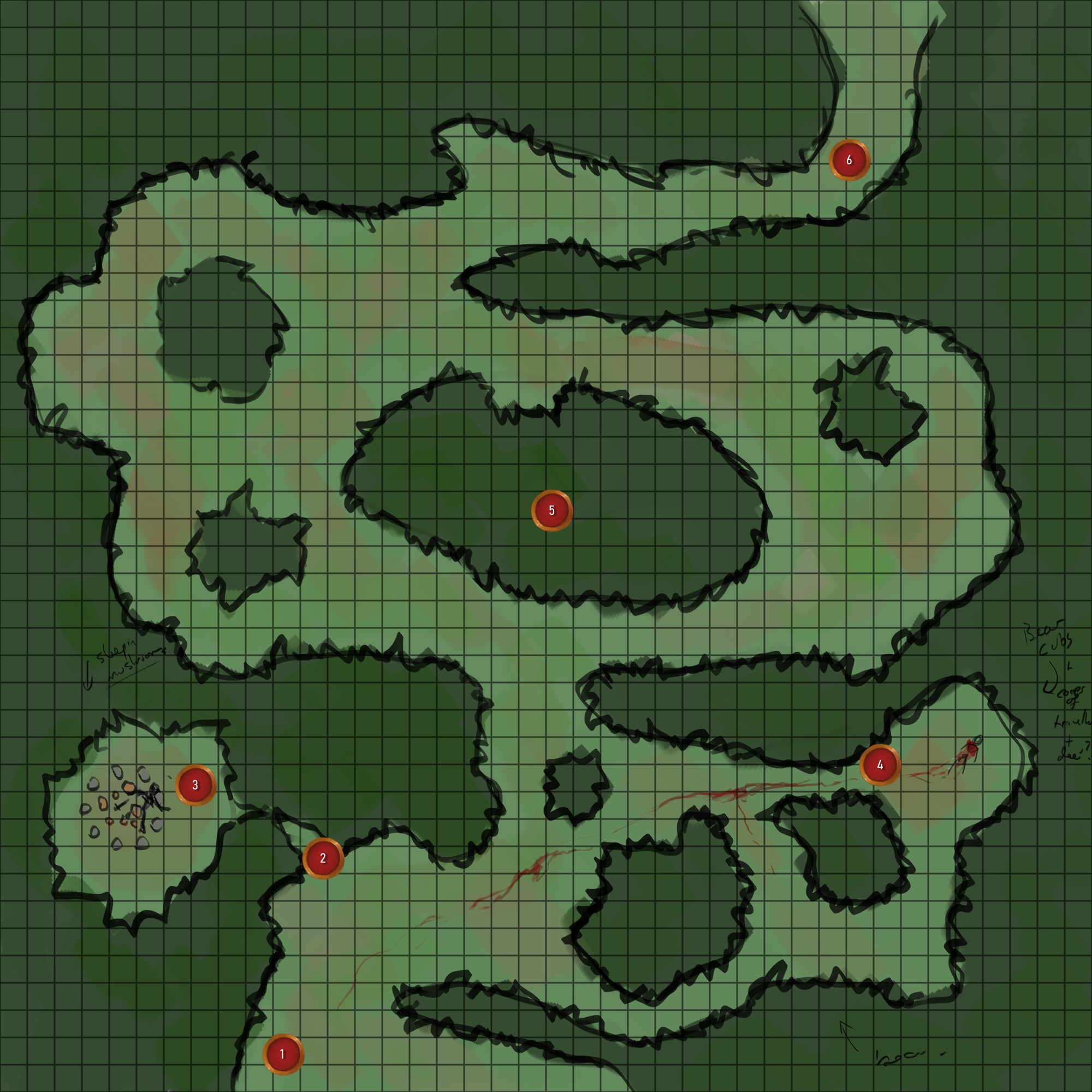 Forest Path