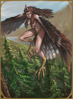 Harpy(Craven)