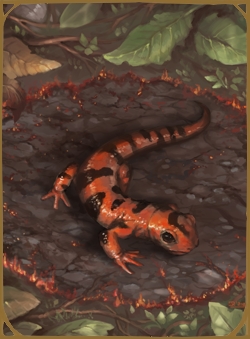 Salamander